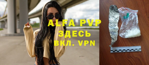 амф Горняк