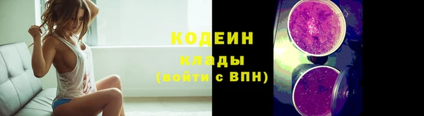 амф Горняк