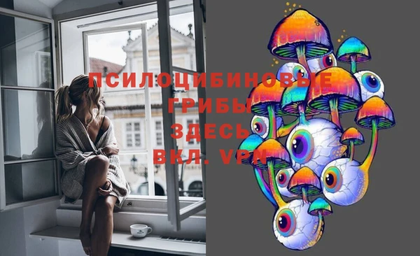 кристаллы Вяземский