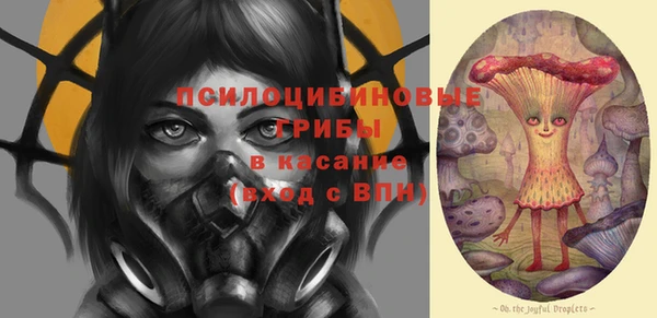 кристаллы Вяземский