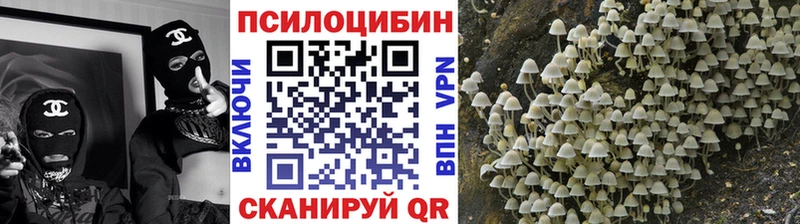 гидра ссылка  Плавск  Галлюциногенные грибы GOLDEN TEACHER 
